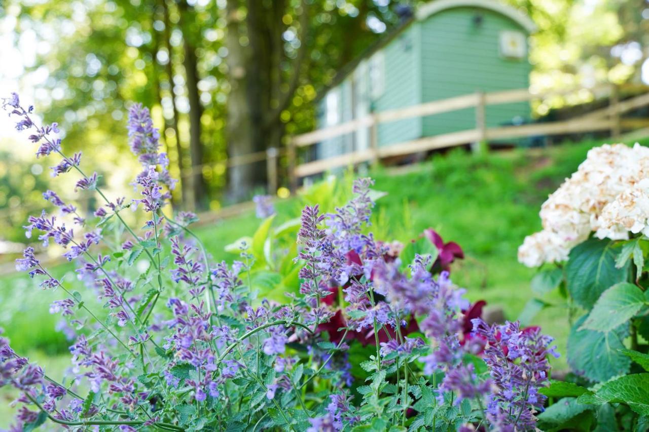 Gasthaus Lavender Retreat With Private Hot Tub Upper Hulme Exterior foto